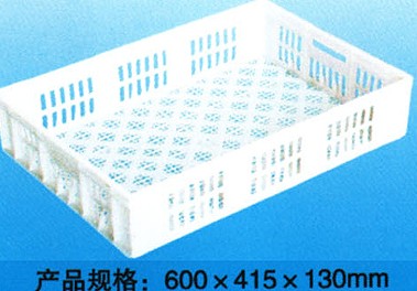 F007 小雞周轉箱